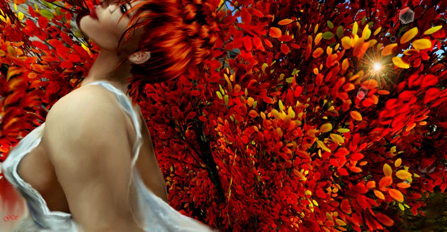 L'Amore rende liberi