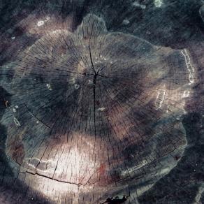 Non importa quanti anni avevo.... vivrò per sempre come voi   ( No matter how many years I had .... I will live forever like you ) 