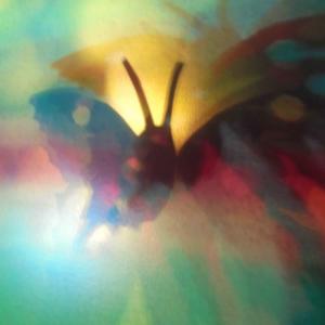 I colori della biodiversità -2017