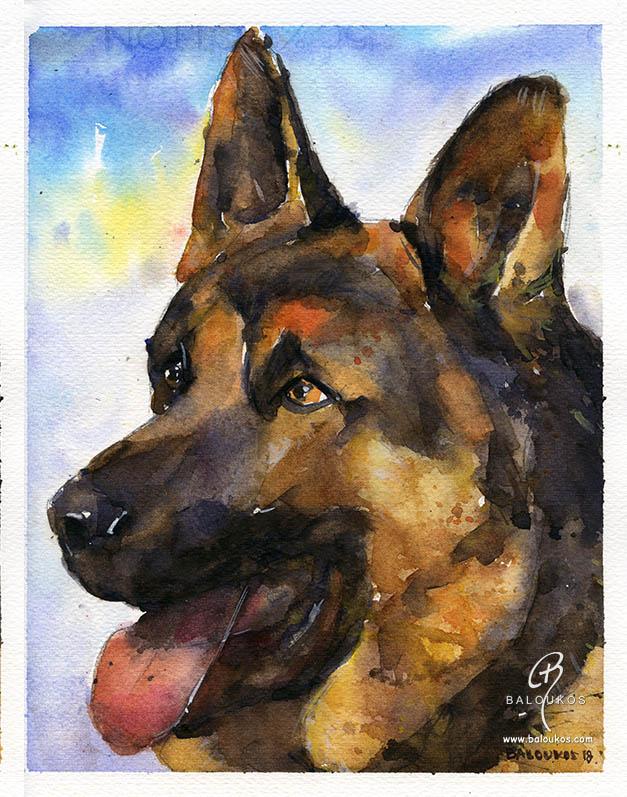 Dog portrait 4 from 100