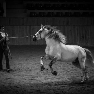 international photography awards 2013 international photography awards 2013