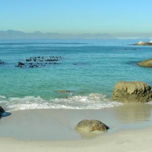 Sudafrica. Colori in/naturali