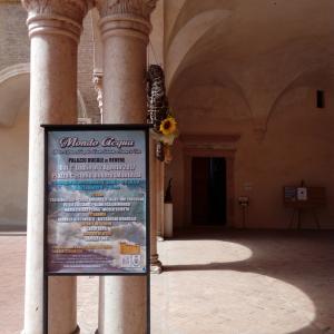 Palazzo Ducale di Revere dal 1° Luglio.