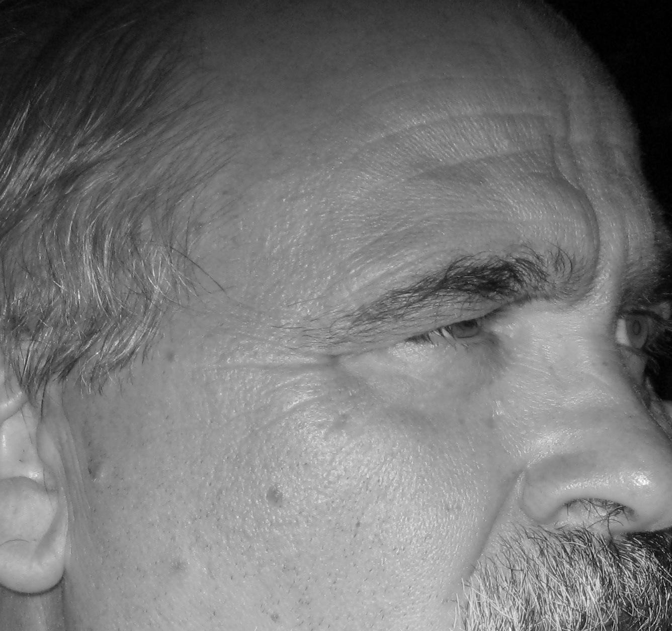 "Vivi" Opere di Massimo Palumbo