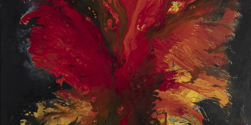 Rigato / Contraria sunt complementa