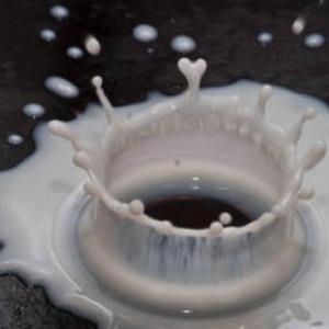 B/N mostra di fotografia