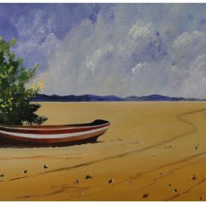 LUCI, COLORI ED EMOZIONI