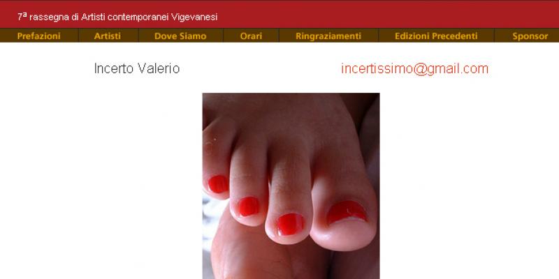 ARTE IN VIGEVANO 2012 ARTE IN VIGEVANO 2012