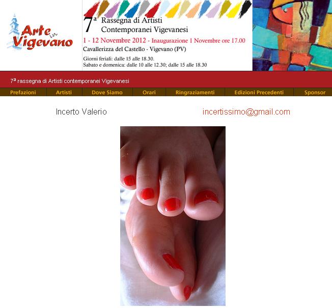 ARTE IN VIGEVANO 2012