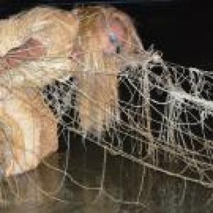 “don/azioni e contaminazioni”