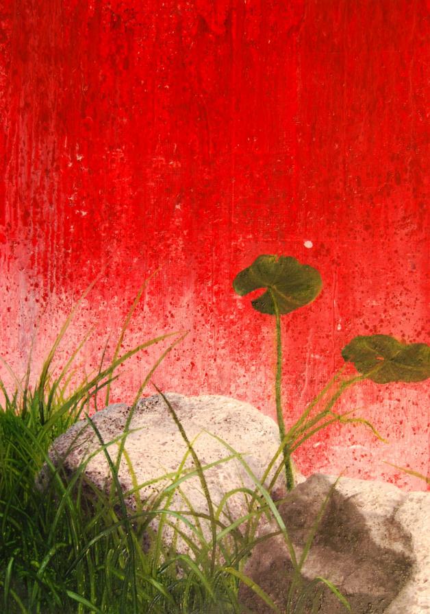 LANDSCAPE'S FRAME 2010 50X35CM