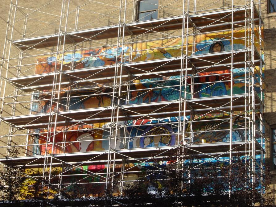 Women for Peace and Environment