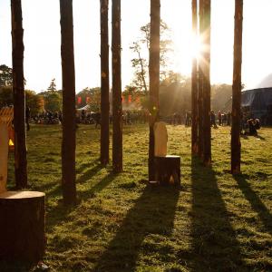 Meitheal Adhmaid | Woodcollective