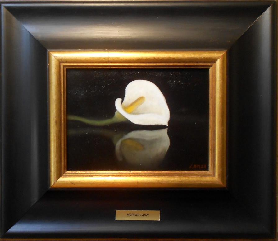 Calla su piano lucido