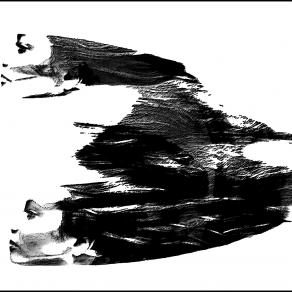 Le Portatrici Di Vita - AlternativeVision