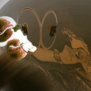 Chaos in Grey Chaos in Grey