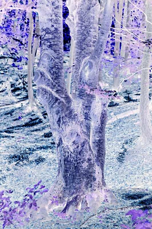 Woodbergs'12 Beginning|as|end 12