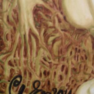 Streghette in trasformazione e agglomerazione driadica - Gorgonillae (particolare) Streghette in trasformazione e agglomerazione driadica - Gorgonillae (particolare)