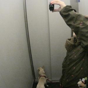 Famiglia Bambi & Zagni - Nessuno Viene Dimenticato Famiglia Bambi & Zagni - Nessuno Viene Dimenticato