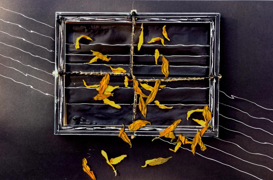 onde di luce scuotono la tela,petali cadenti.