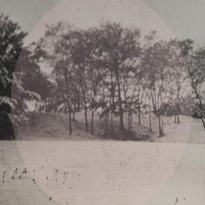 The last summer / I. Souvenirs d'enfance