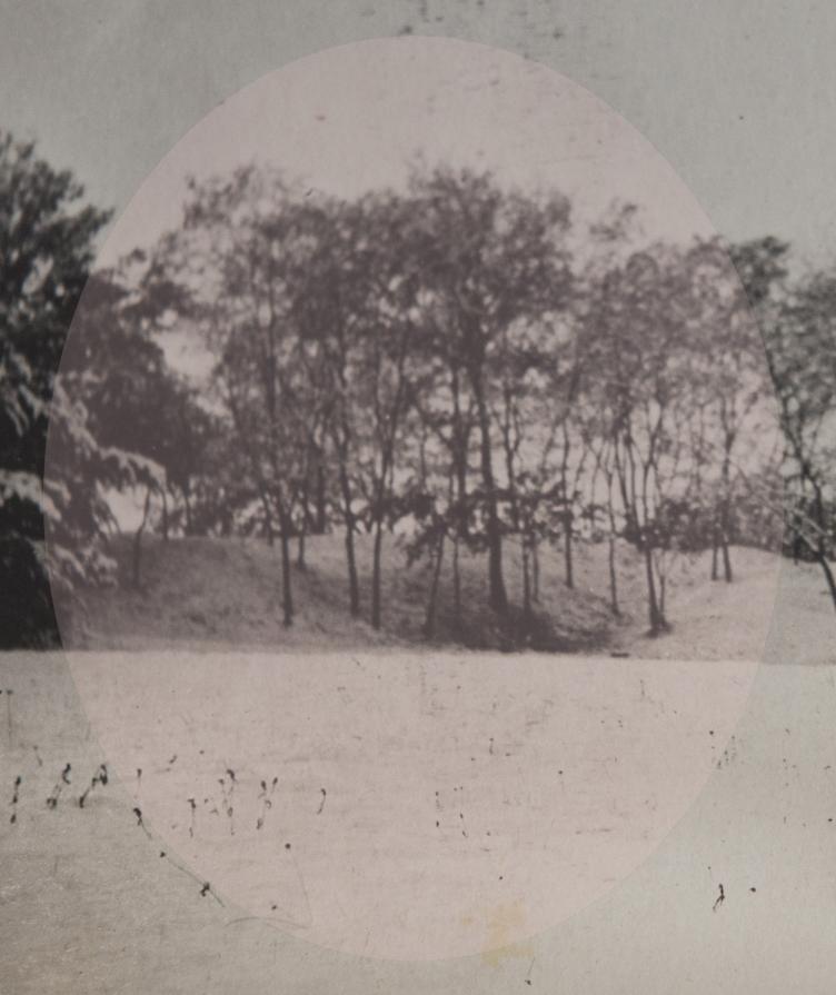 The last summer / I. Souvenirs d'enfance