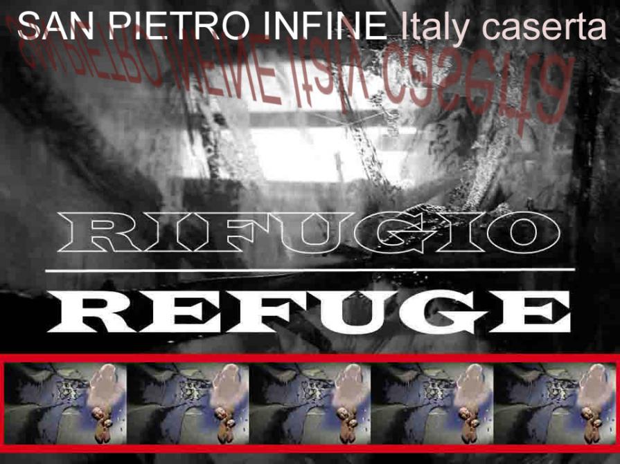 THE WINNER OF THE REFUGE / REFUGE ART CONTEST 2015