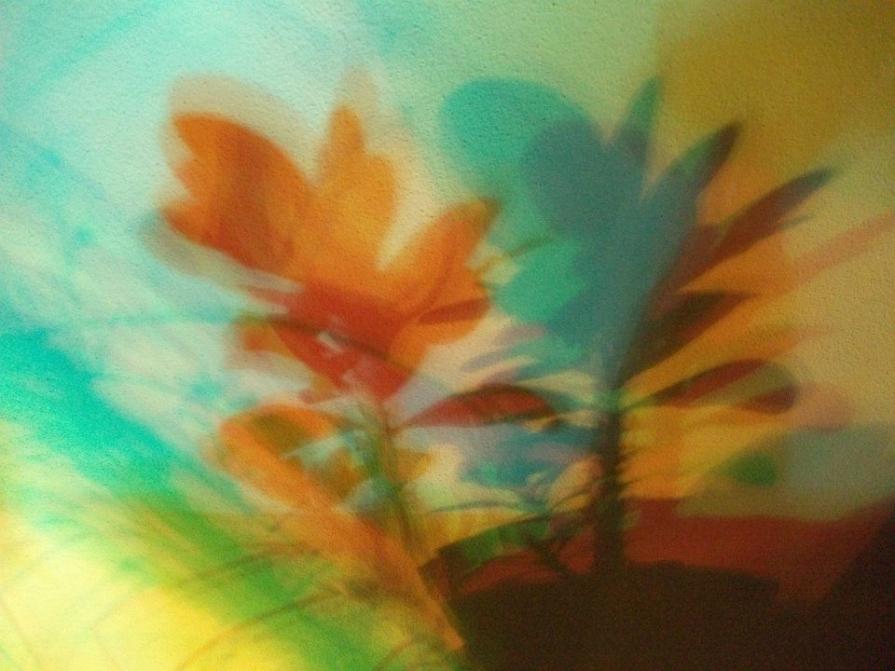 I colori della biodiversità -2015