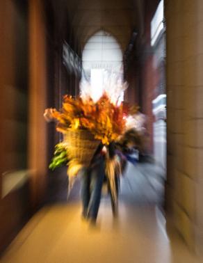 Il fioraio di Bologna