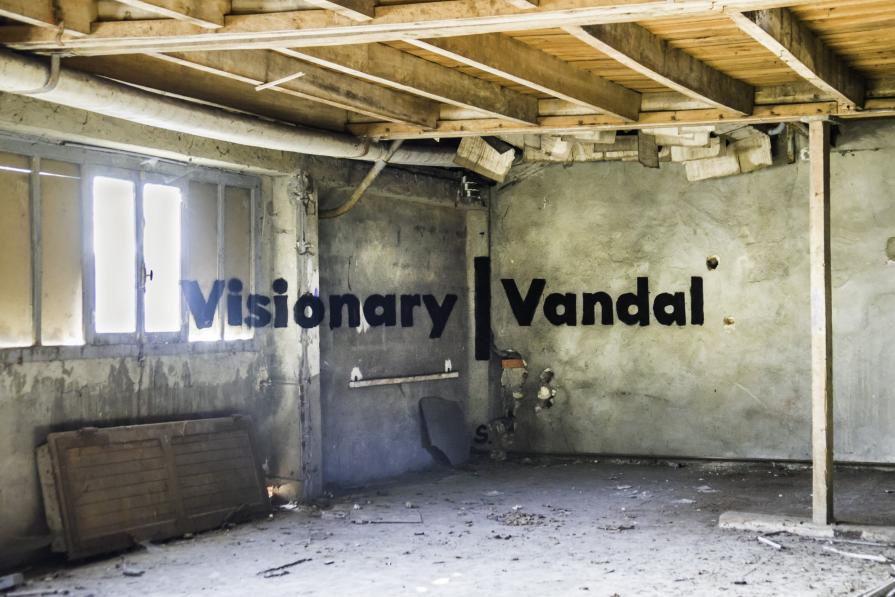 Visionary / Vandal