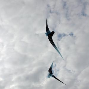 Prima della fine è un volo