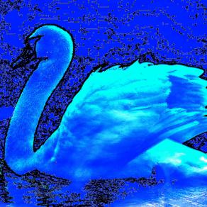 Gli occhi di una mamma brillano del sorriso del proprio figlio e il cuore batte ad ogni suo respiro !!! <3 