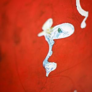 The Patrol - Details