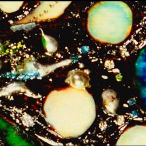 Da "I segreti del mare" : - La nascita di una Sirena - (particolare)