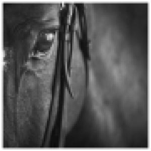 TST Art Gallery e CAVALLIaMILANO