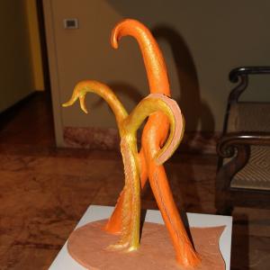 Natura:Luci e Ombre a Modena.