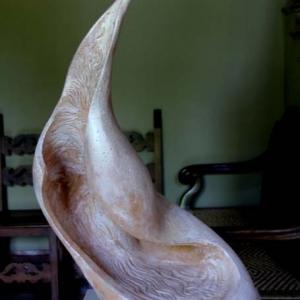 ULTIMA MOSTRA ALLA MERIDIANA di MODENA ..poi pausa estiva.