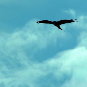 Italia. Basilicata. Potenza (2)