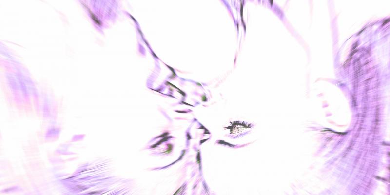 discreare ontology discreare ontology