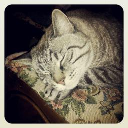 Maria Cecilia Ciusani