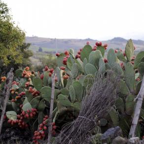 Autunno in Sicilia