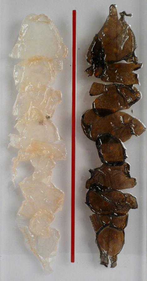 LA SOTTILE LINEA ROSSA LA SOTTILE LINEA ROSSA