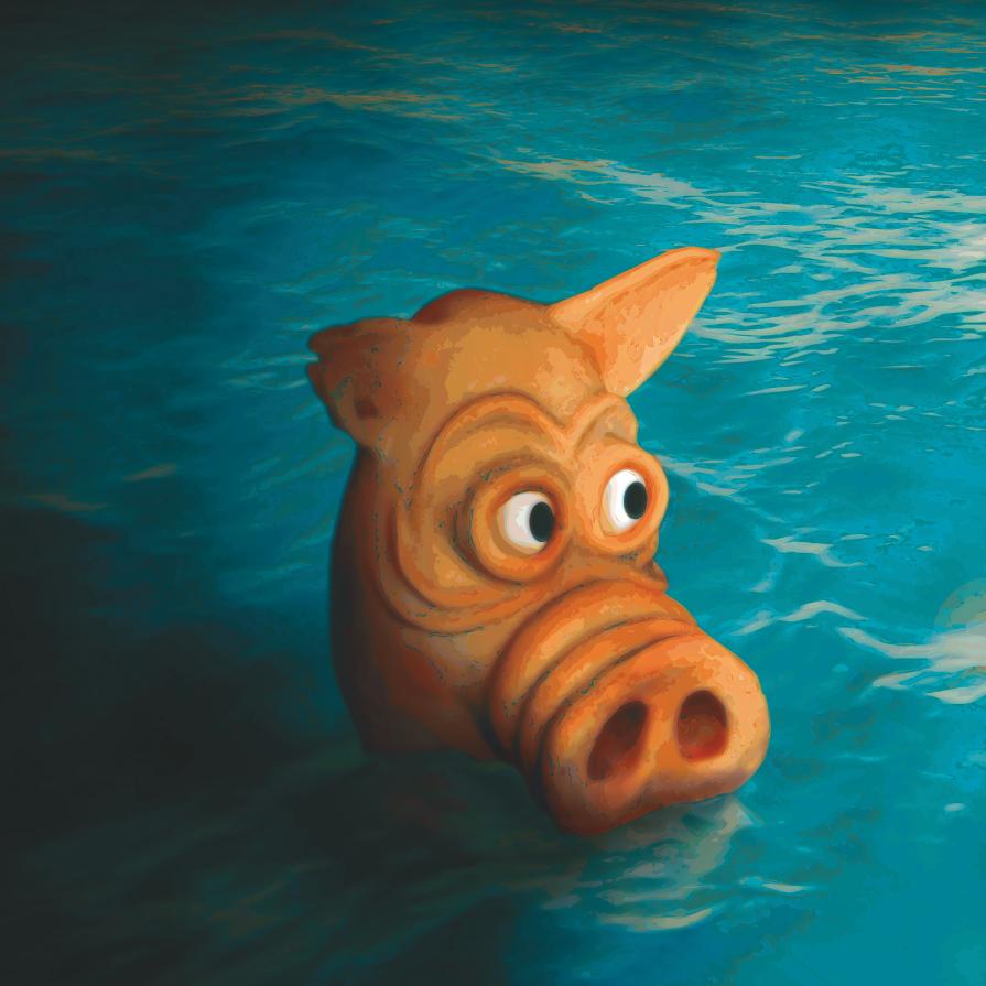 Pig in the Water