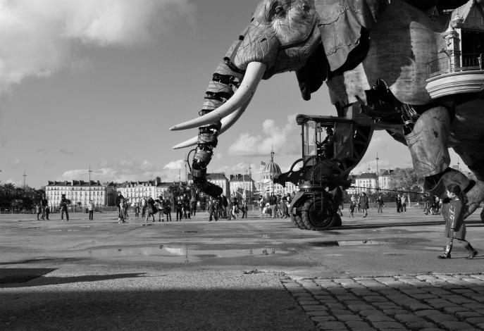 L'elefante e la bambina