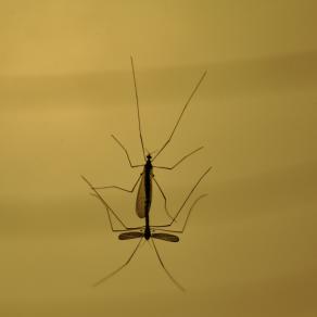 love on earth / 2012