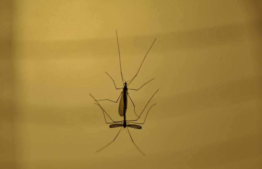 love on earth / 2012