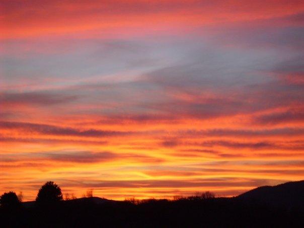 NATURE:THIS IS MY GOD!