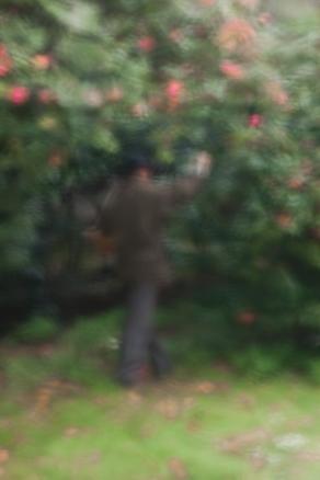 l'homme qui a choisi de camélia