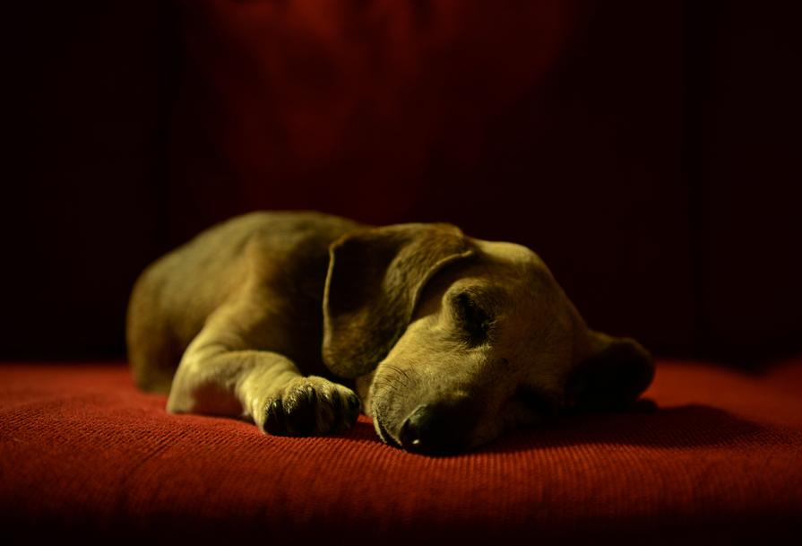 Before I went to Heaven Before I went to Heaven