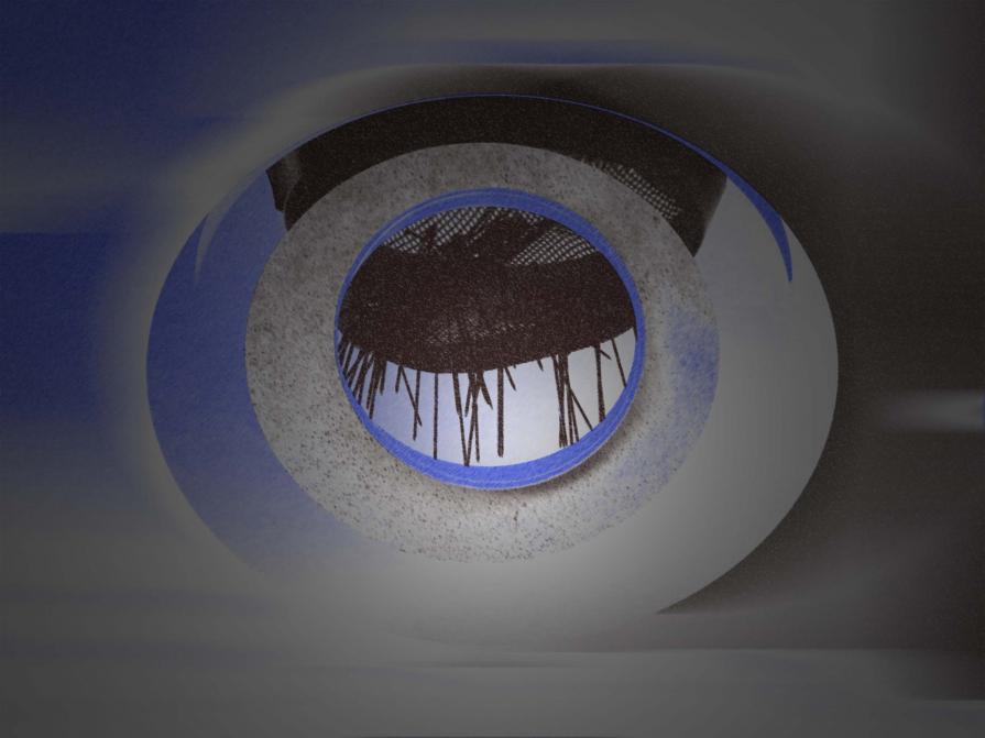 Lapsus 2013 Competition warm congratulations Lapsus 2013 Competition warm congratulations